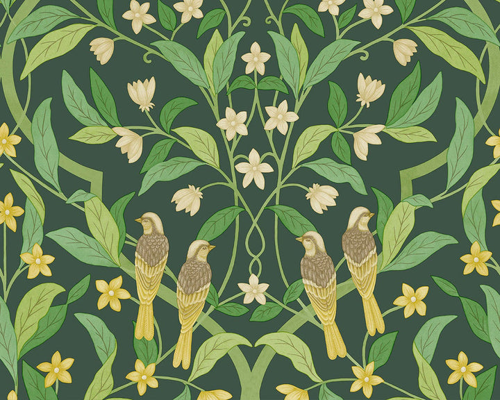Cole & Son Jasmine & Serin Symphony Wallpaper