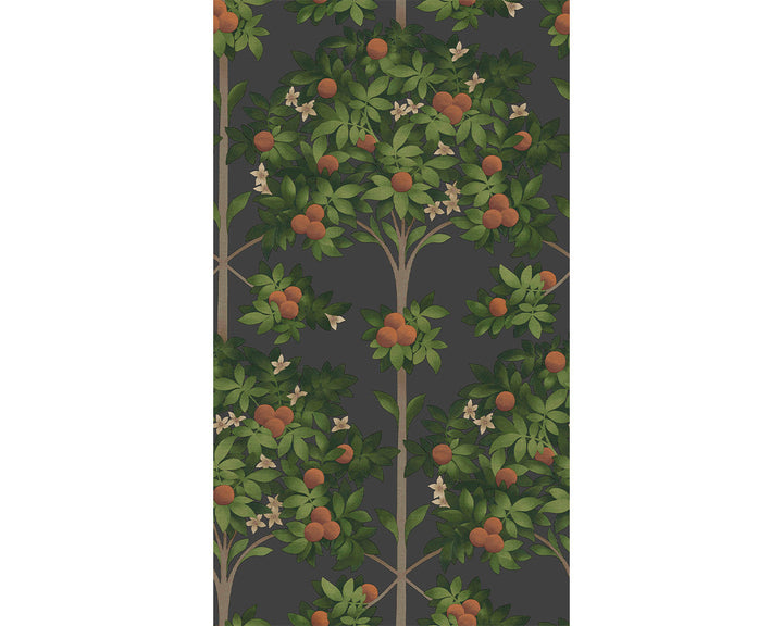 Cole & Son Orange Blossom Wallpaper