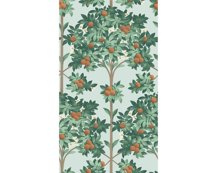 Cole & Son Orange Blossom Wallpaper