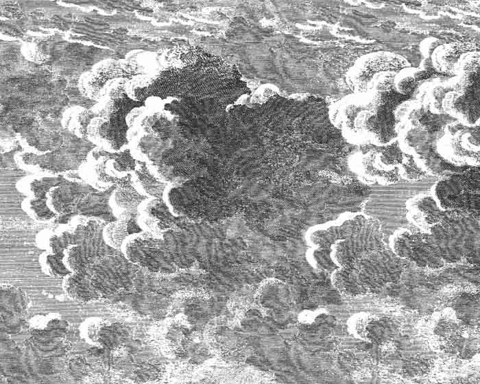 Cole & Son Nuvolette Wallpaper