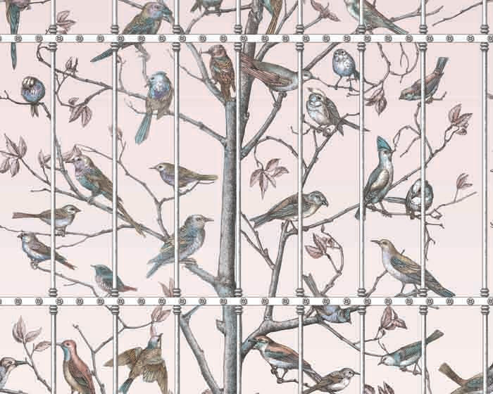 Cole & Son Uccelli Wallpaper