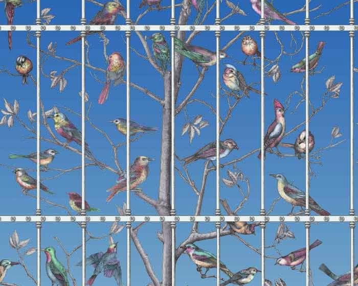 Cole & Son Uccelli Wallpaper