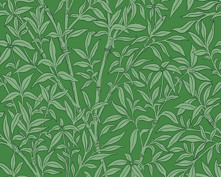 Cole & Son Bamboo Forest Wallpaper