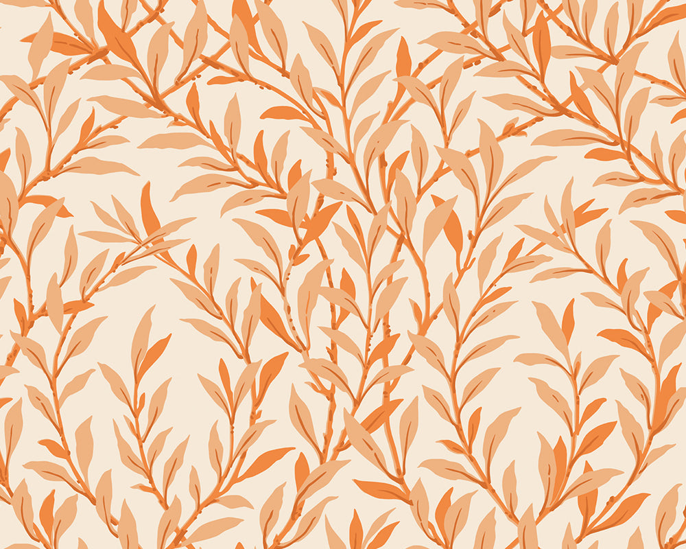 Cole & Son Willow Branch in Tangerine on Cream