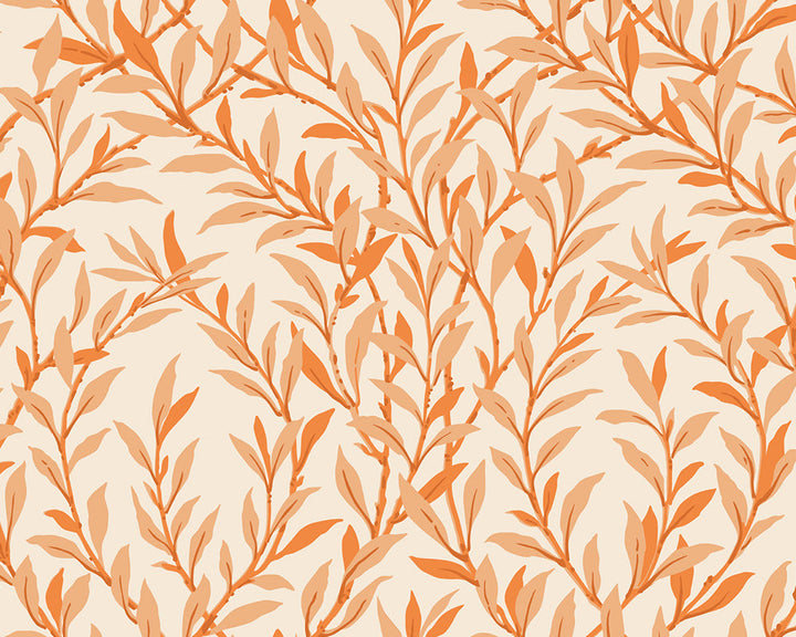 Cole & Son Willow Branch in Tangerine on Cream