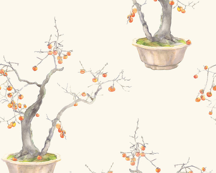 Cole & Son Kaki Persimmon in Ivory & Bergamot