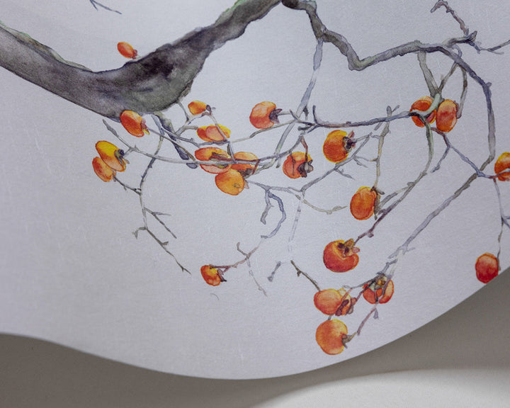 Cole & Son Kaki Persimmon Wave in Ivory & Bergamot