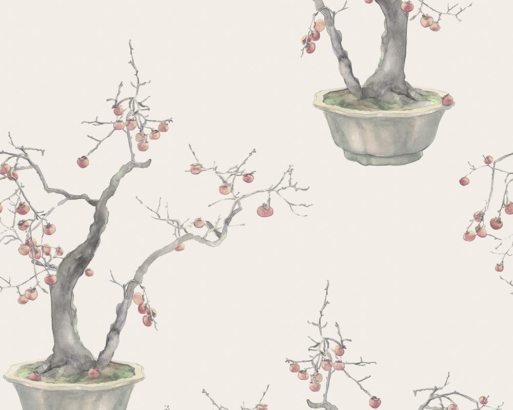 Cole & Son Kaki Persimmon Wallpaper