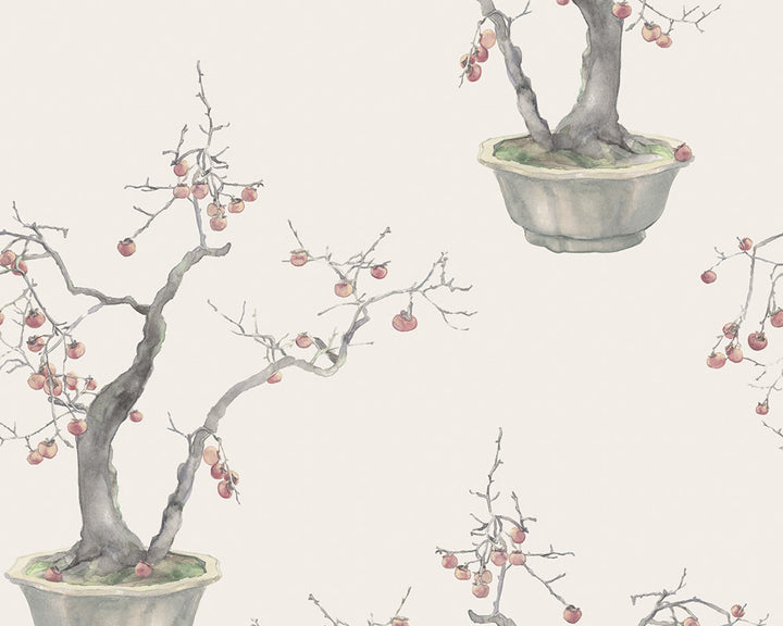 Cole & Son Kaki Persimmon Wallpaper