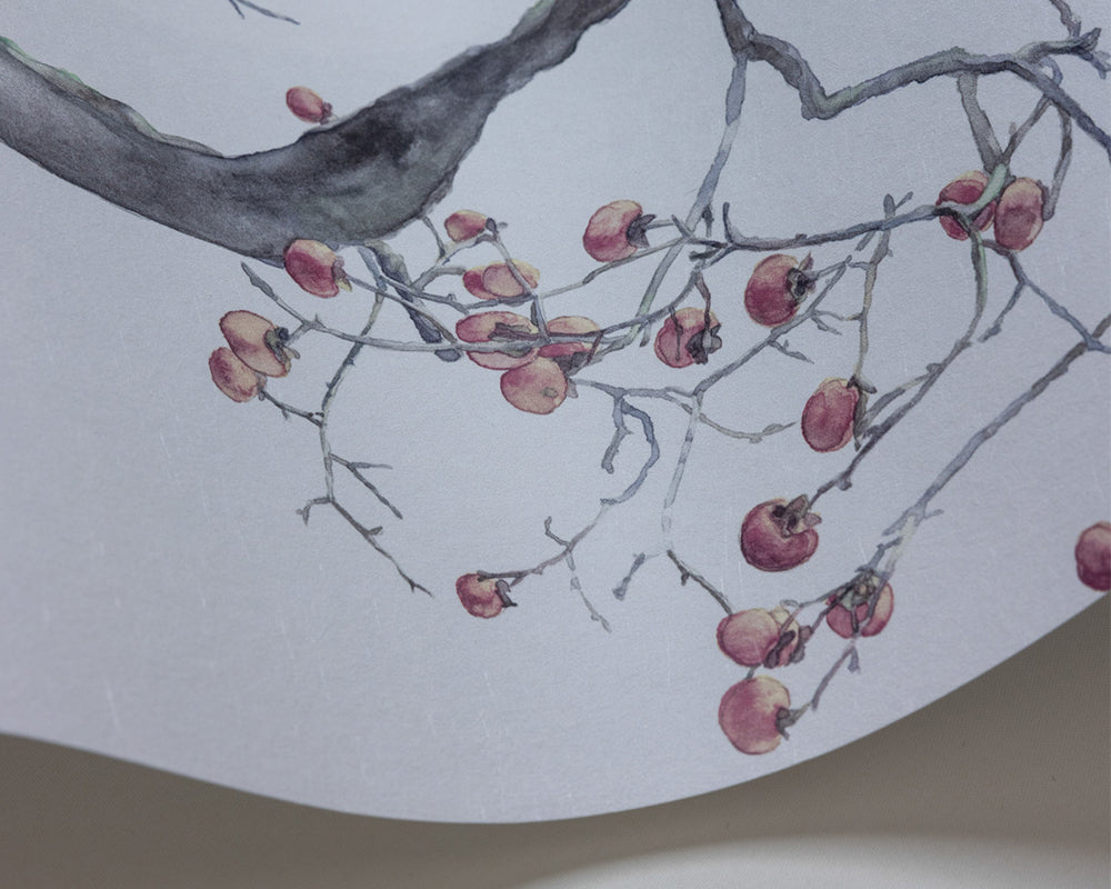 Cole & Son Kaki Persimmon Wave in Silver