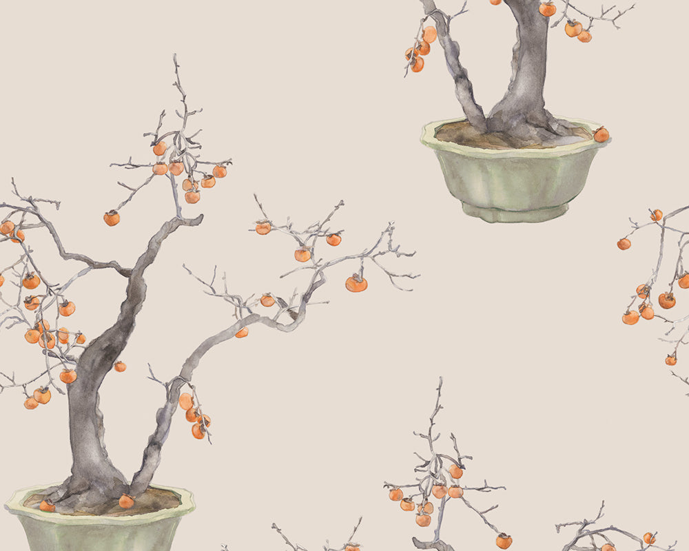 Cole & Son Kaki Persimmon Wallpaper