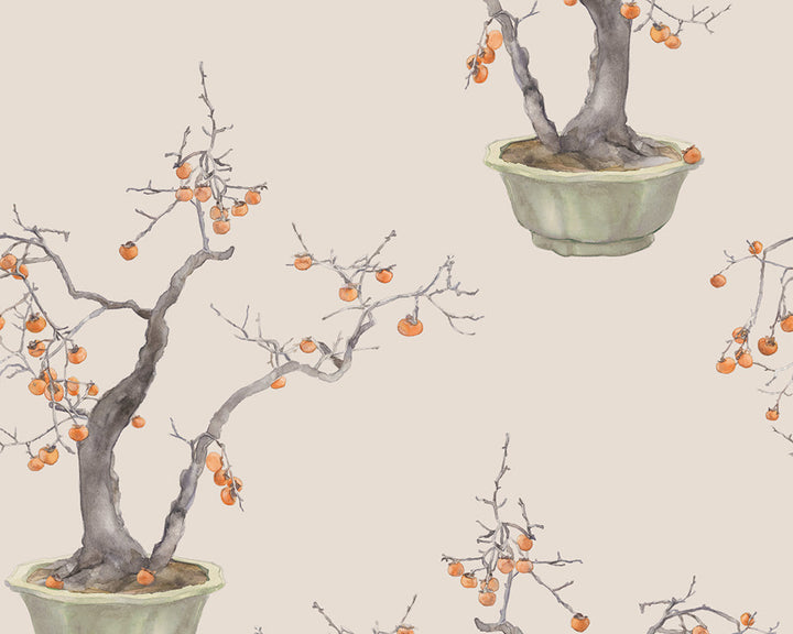Cole & Son Kaki Persimmon Wallpaper