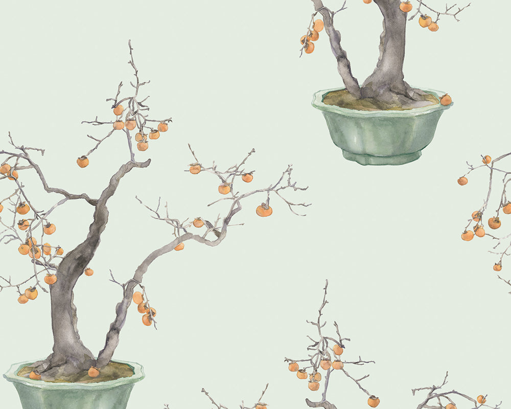 Cole & Son Kaki Persimmon Wallpaper