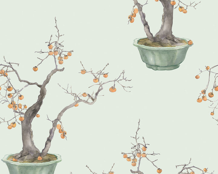 Cole & Son Kaki Persimmon Wallpaper