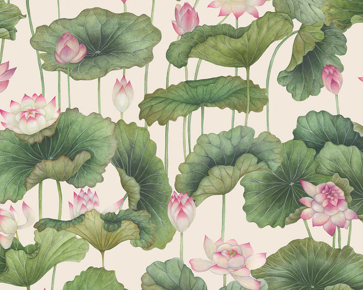 Cole & Son Lily Lotus in Pink & White