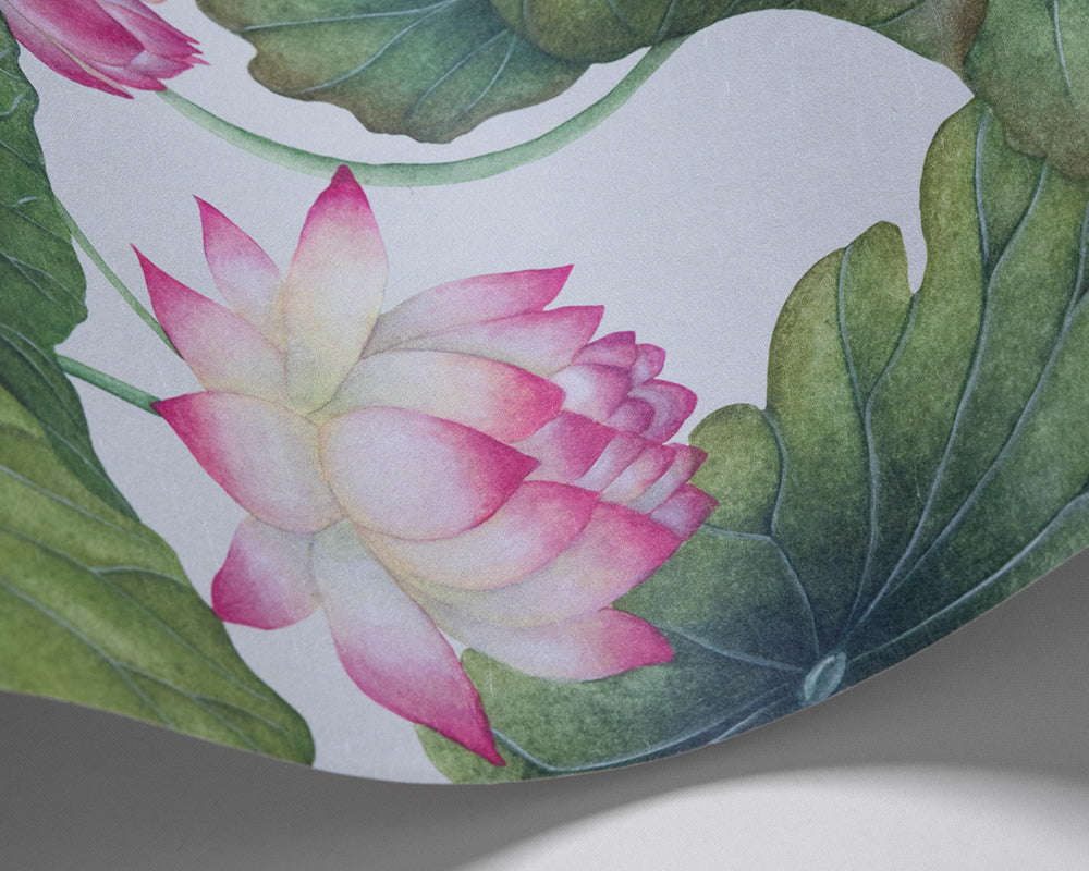 Cole & Son Lily Lotus wave in Pink & White