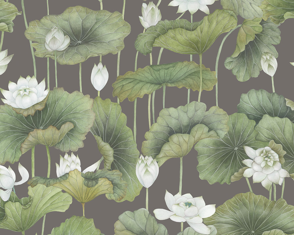 Cole & Son Lily Lotus Wallpaper