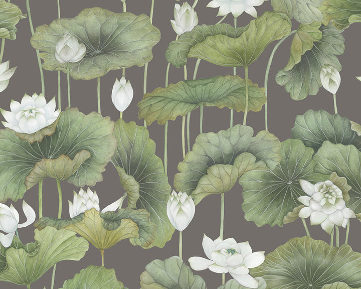 Cole & Son Lily Lotus Wallpaper