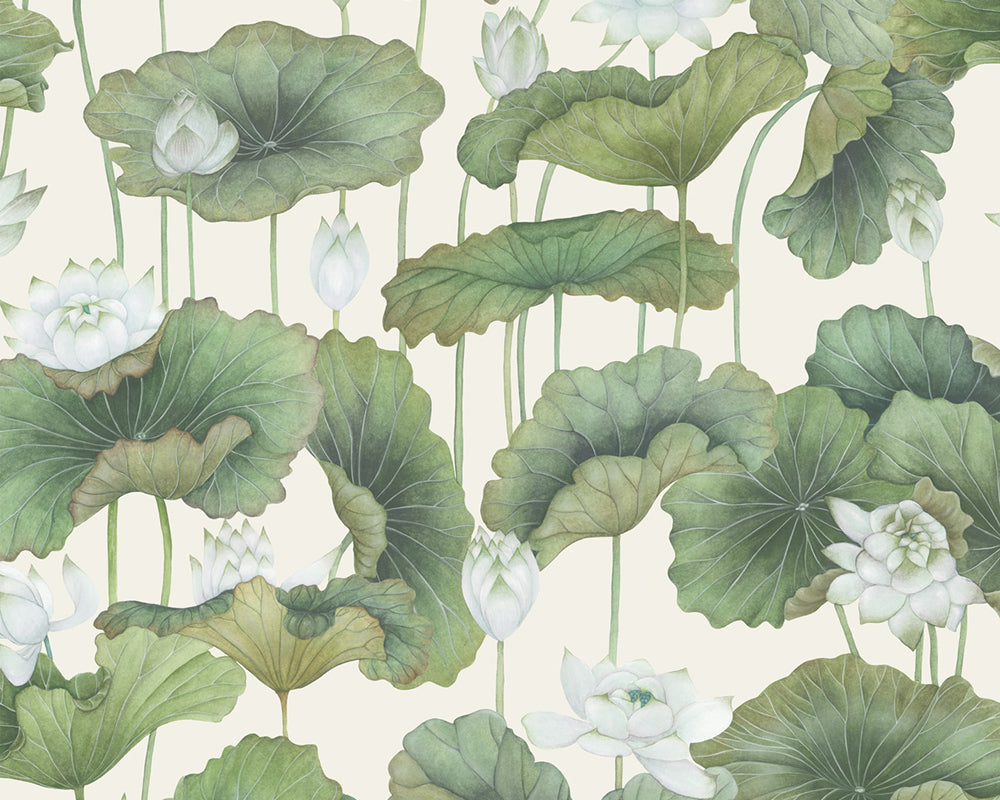 Cole & Son Lily Lotus Wallpaper