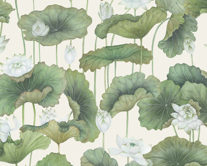 Cole & Son Lily Lotus Wallpaper