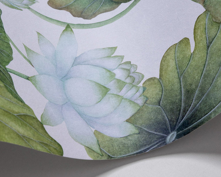 Cole & Son Lily Lotus wave in White on Cream
