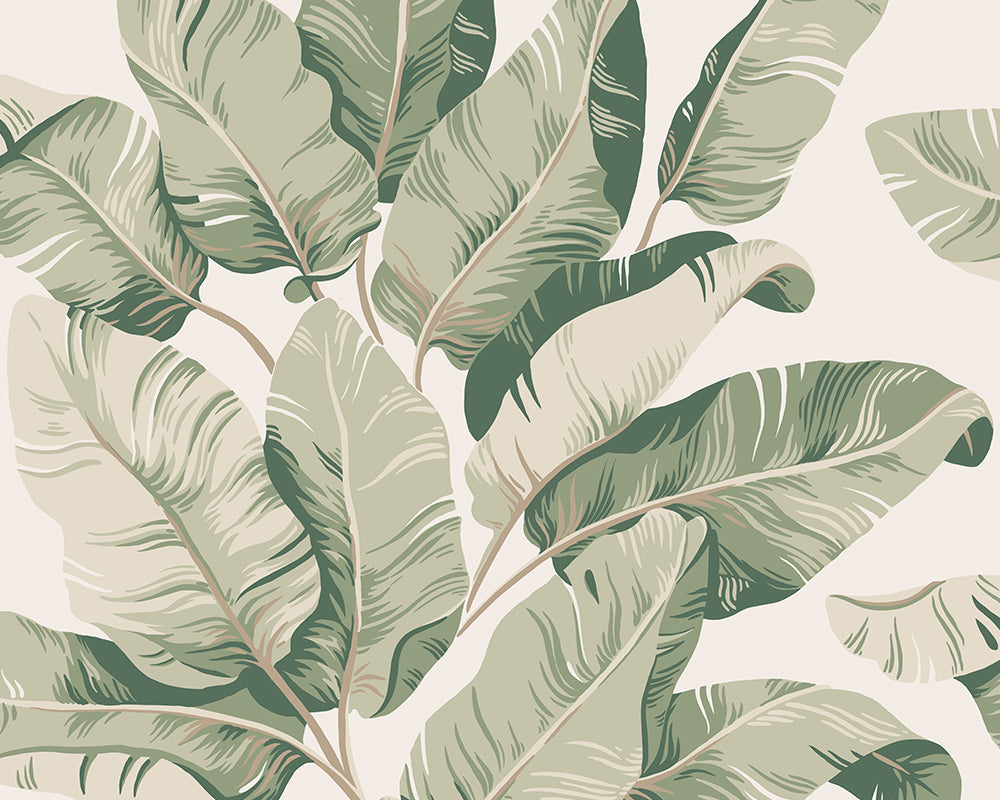 Sandberg Tom Wallpaper in Garden Green