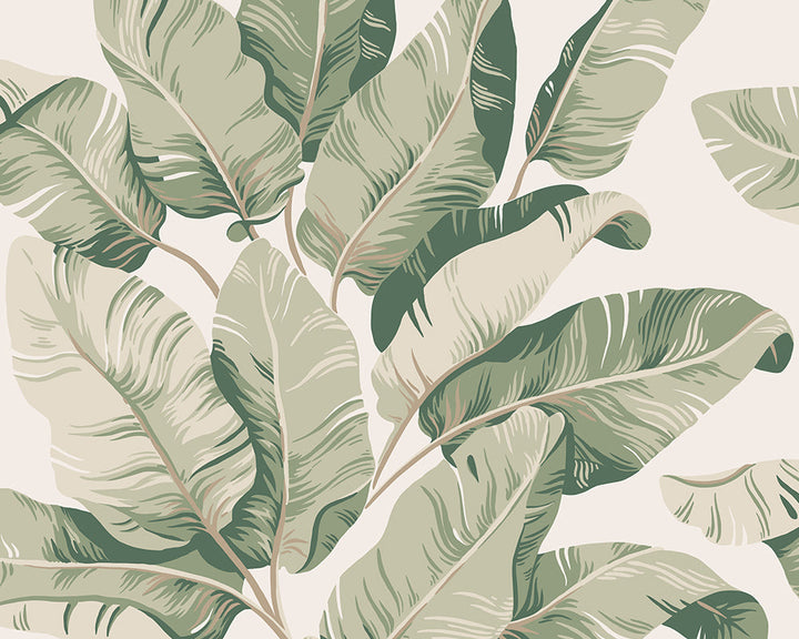 Sandberg Tom Wallpaper in Garden Green