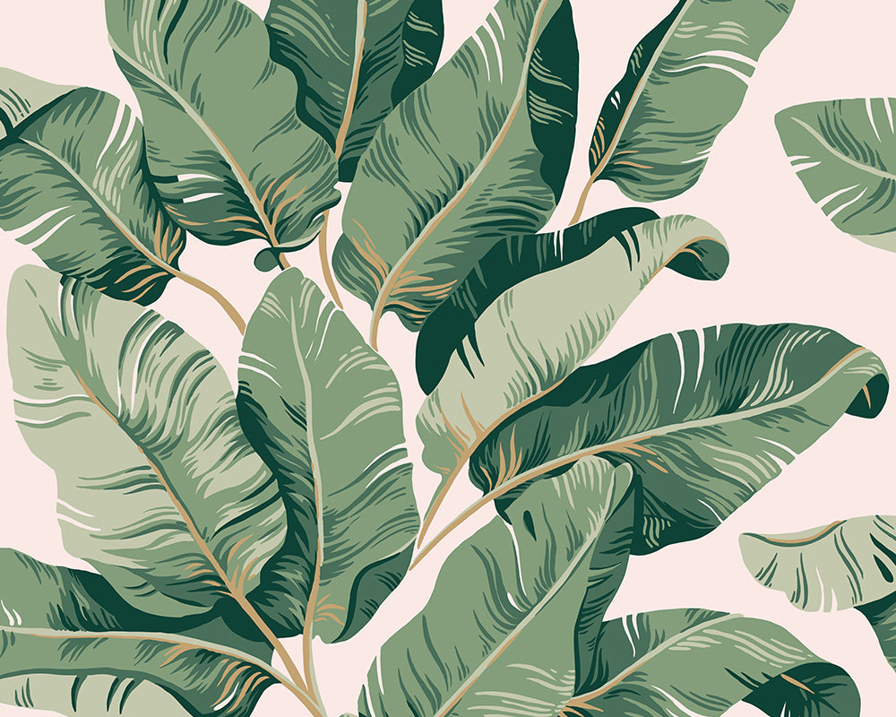 Sandberg Tom Wallpaper