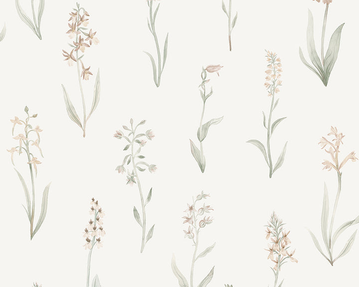 Sandberg Alma Wallpaper in Blush