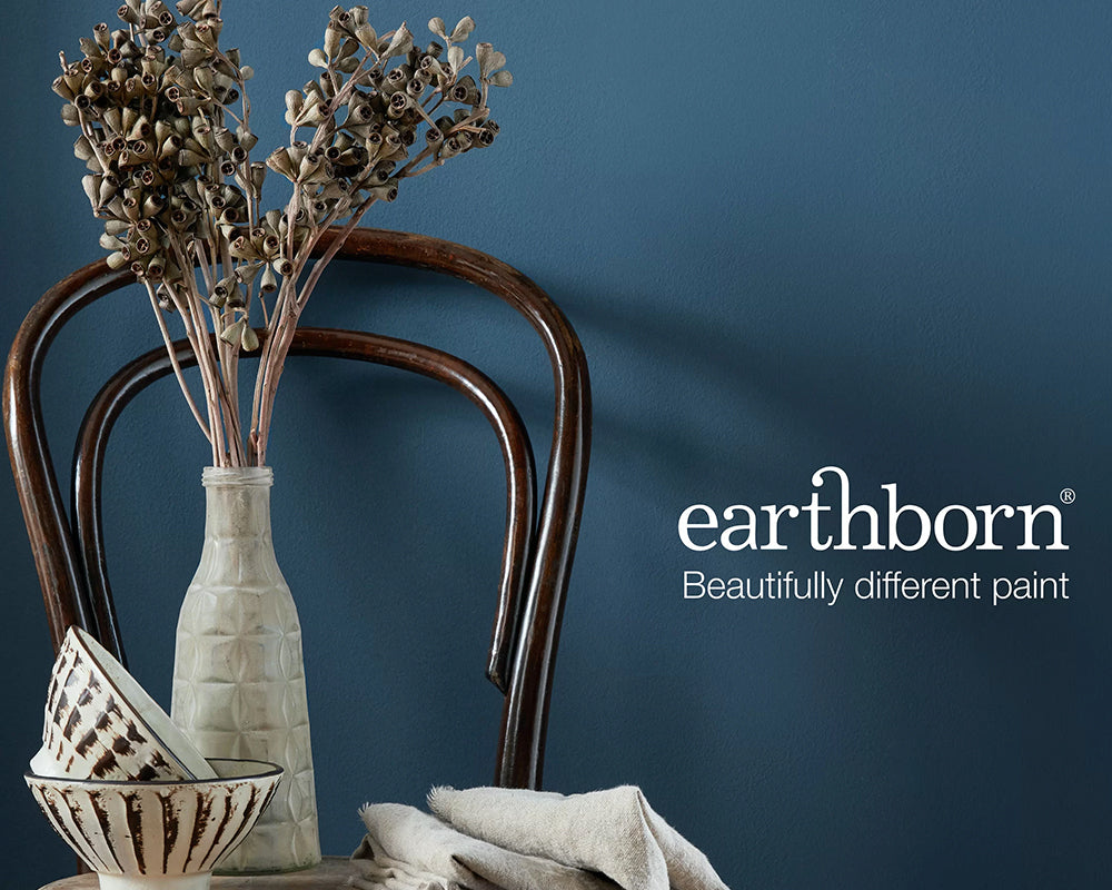 Earthborn Balloon Ride Paint in a room