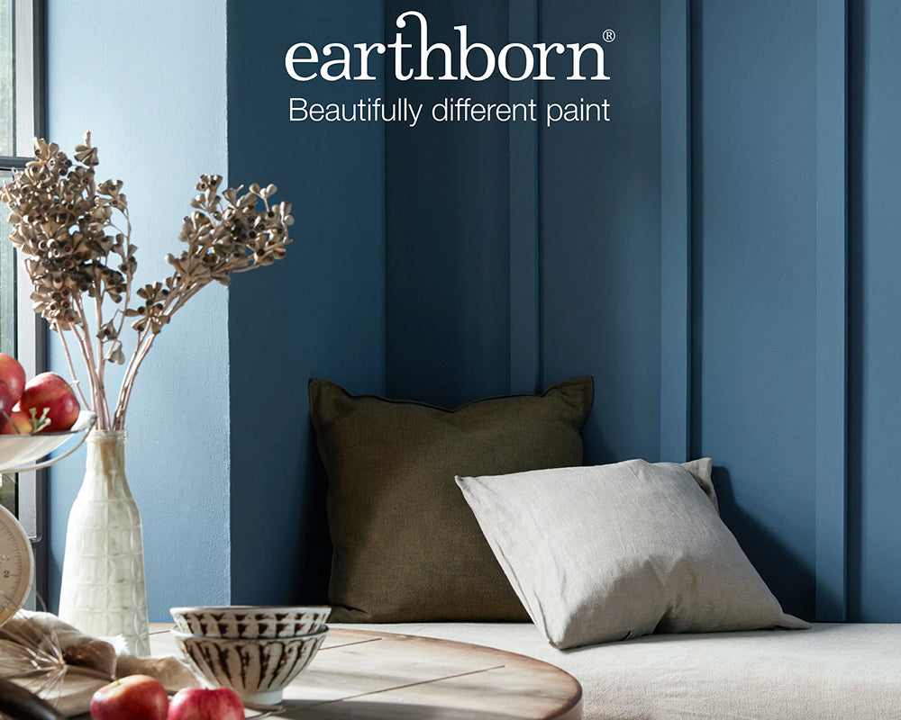 Earthborn Balloon Ride Paint in a kitchen