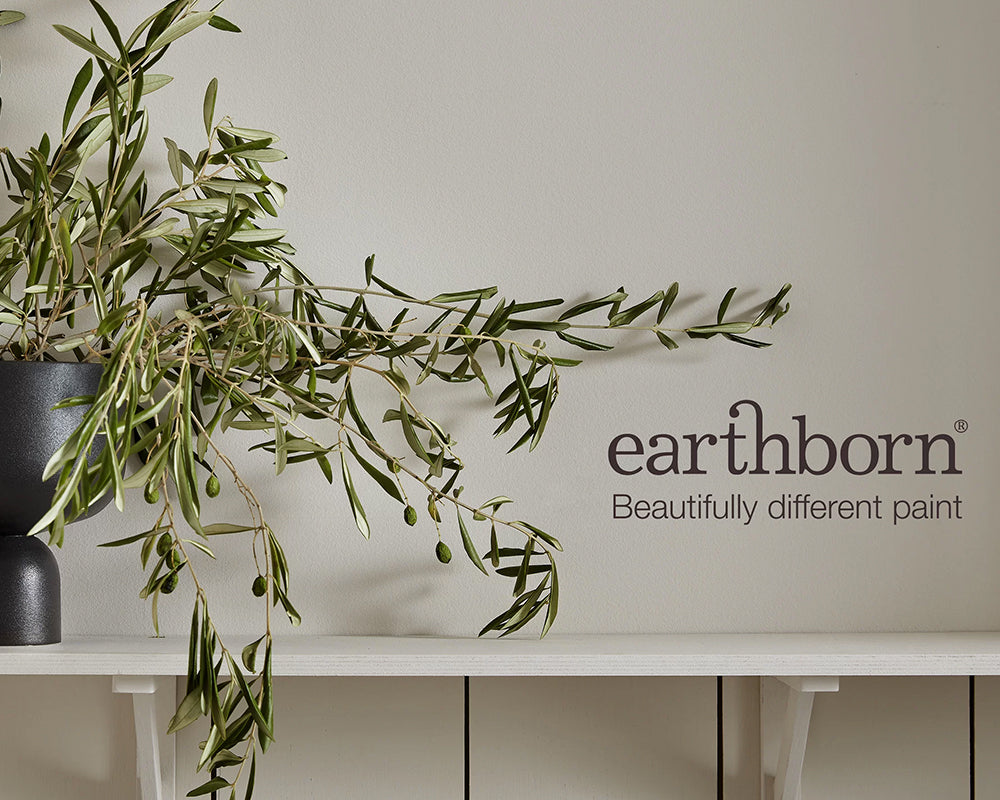 Earthborn Bunny Hop Paint in Room