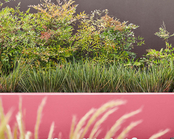 Little Greene Carmine 189 Paint on an exterior wall