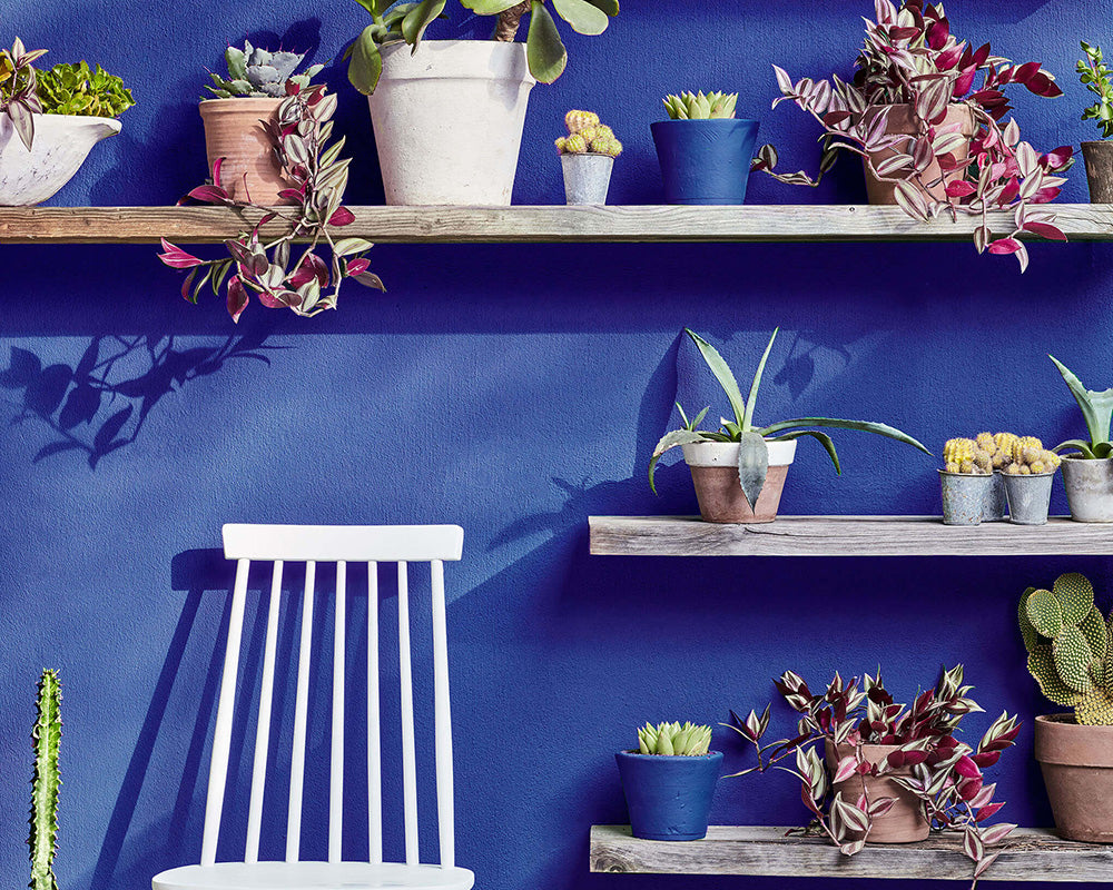 Little Greene Smalt 255 Paint on a exterior wall