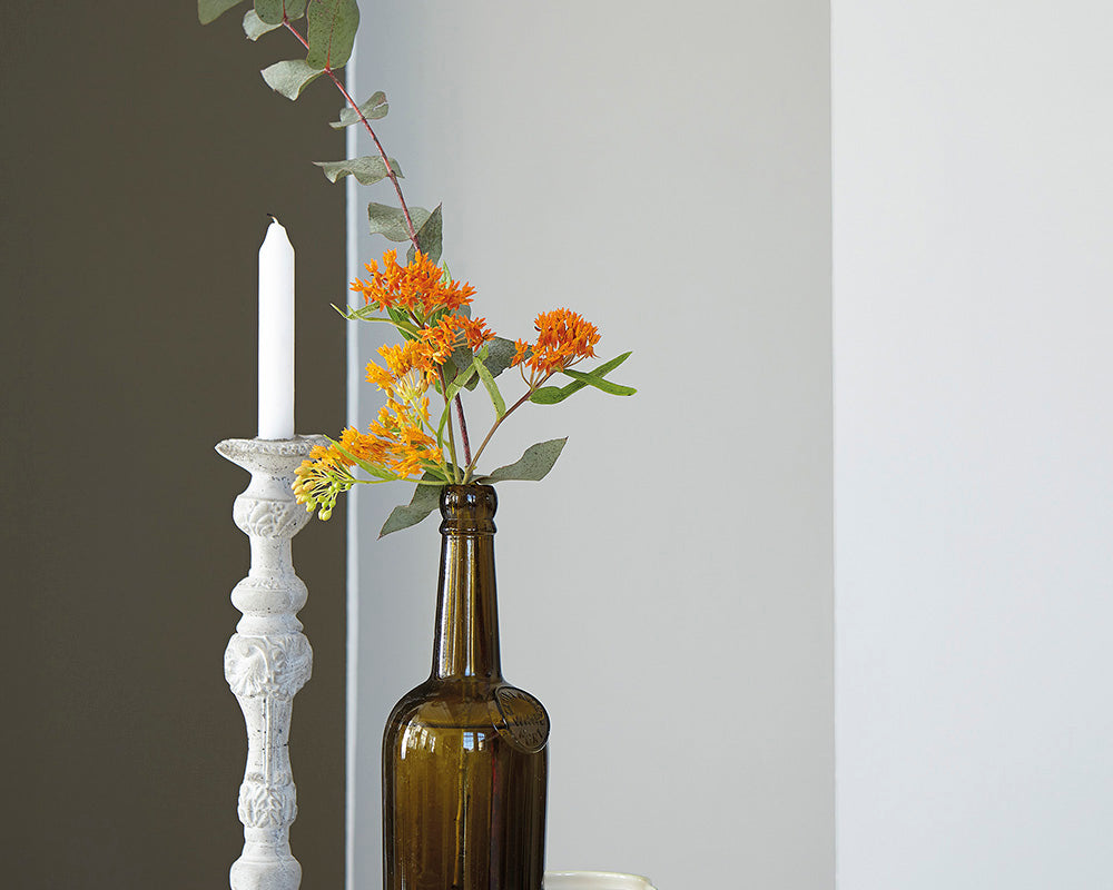 Little Greene Fescue 231 Paint on walls