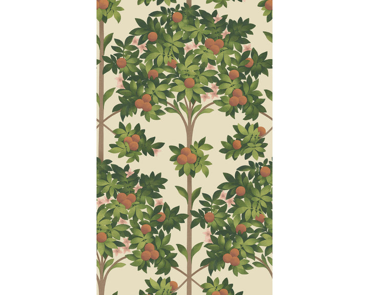 Cole & Son Orange Blossom 117/1001 Wallpaper