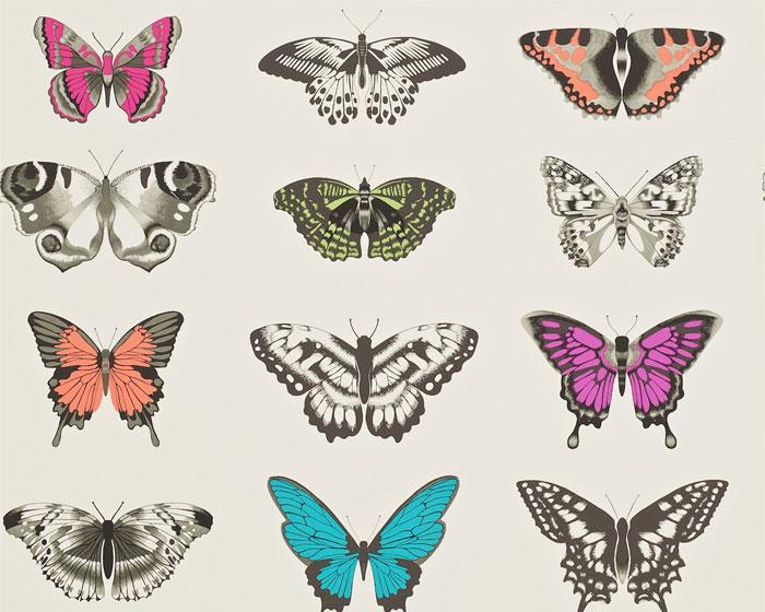 Harlequin Papilio Flamingo/Papaya/Olive 111079 Wallpaper