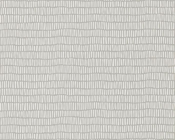 Scion Tocca Fossil 111318 Wallpaper