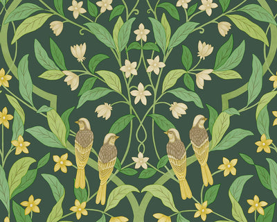 Cole & Son Jasmine and Serin Symphony 117/10029 Wallpaper