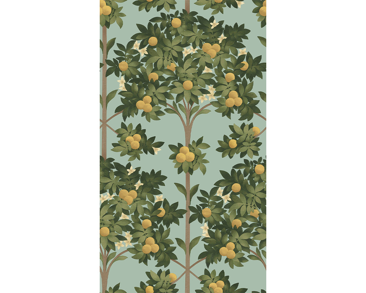 Cole & Son Orange Blossom 117/1002 Wallpaper