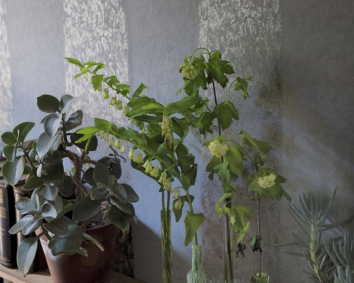 Designers Guild Kalpana - Porcelain P576/05 Wallpaper