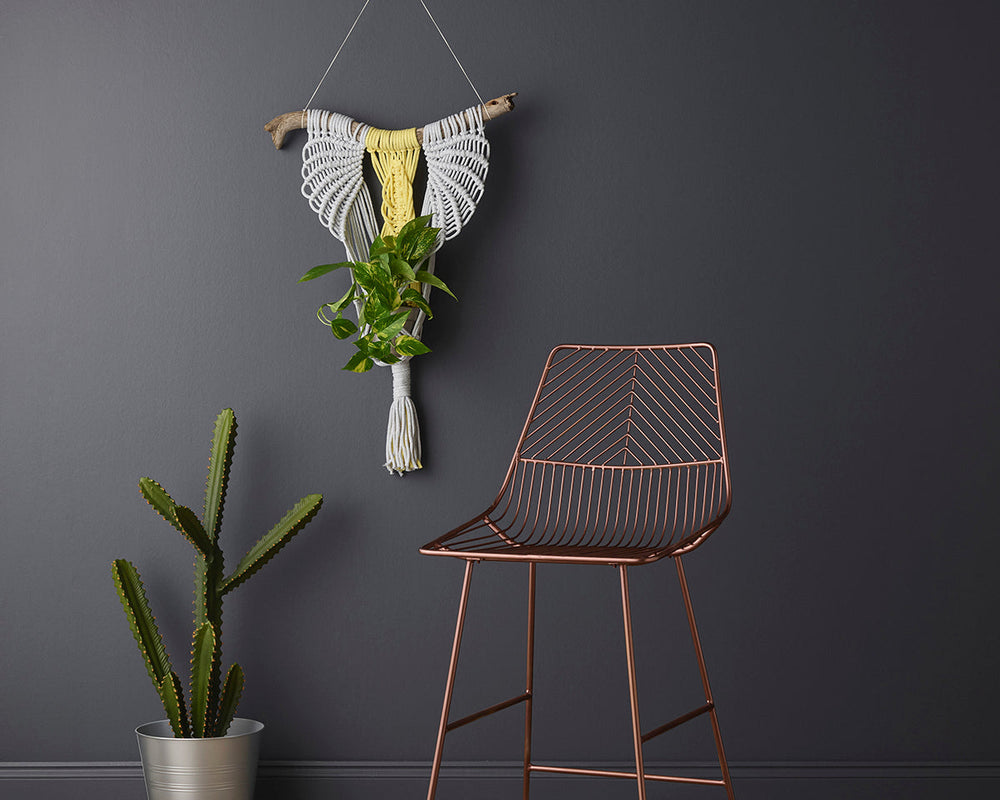 Craig & Rose Violet Slate Paint in room