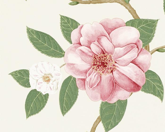 Sanderson Christabel Coral/Ivory 213374 Wallpaper