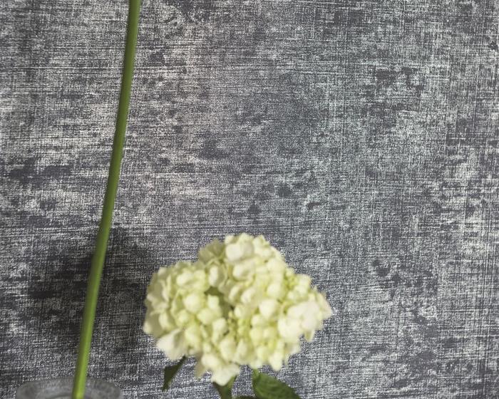 Designers Guild Cerato - Indigo P604/11 Wallpaper