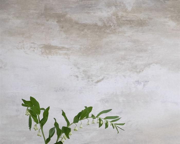 Designers Guild Cielo - Ecru PDG677/02 Wallpaper