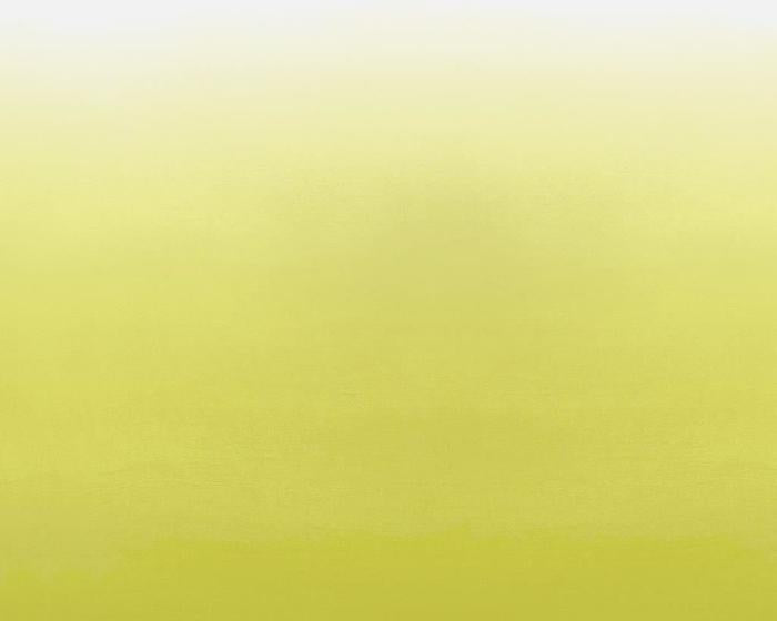 Designers Guild Saraille - Acacia P600/03 Wallpaper