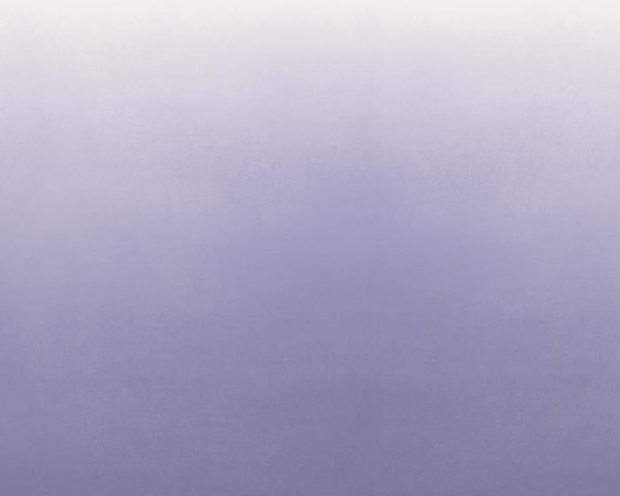 Designers Guild Saraille - Grape P600/10 Wallpaper