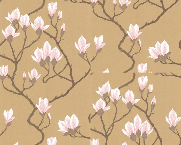 Cole & Son Magnolia 72/3008 Wallpaper