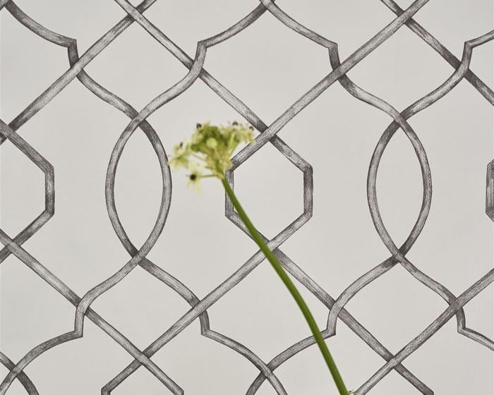 Designers Guild Rabeschi Black And White PDG1027/01 Wallpaper