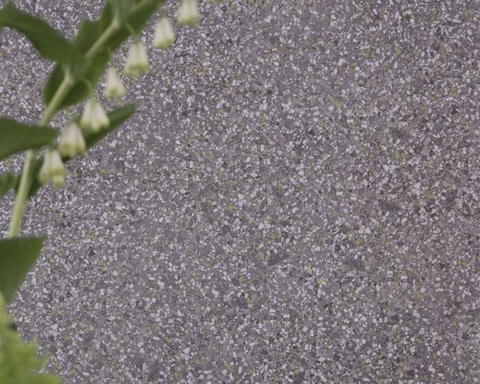 Designers Guild Pavonazzo Birch PDG1031/02 Wallpaper